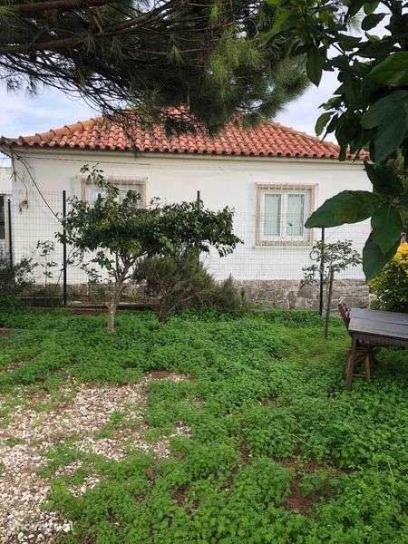 Óptimo Investimento Imobiliário - Grande imagem: 2/5