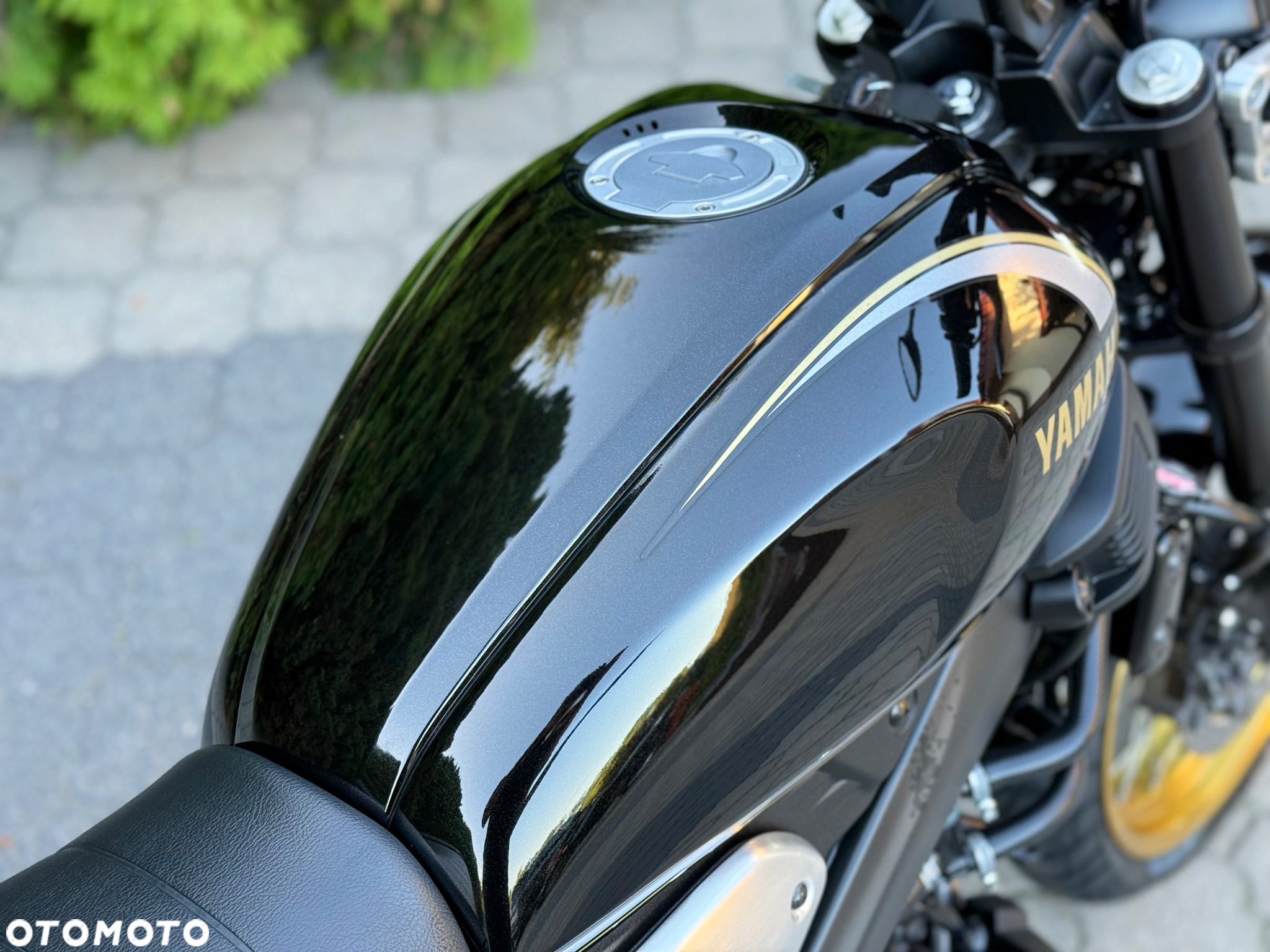 Yamaha XSR - 20