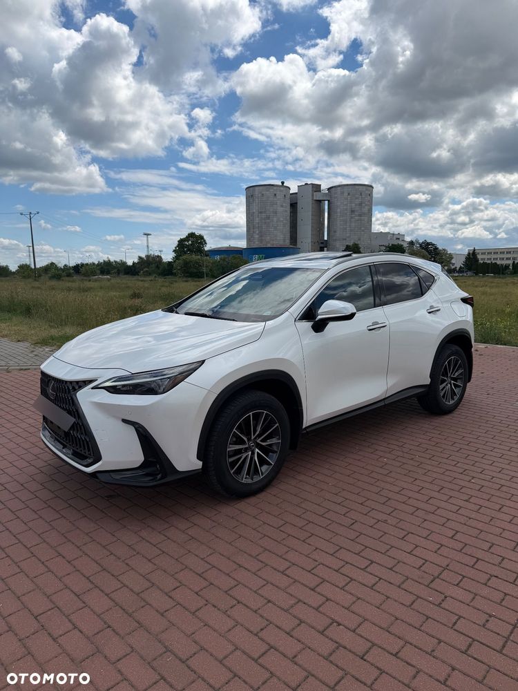 Lexus NX - 11
