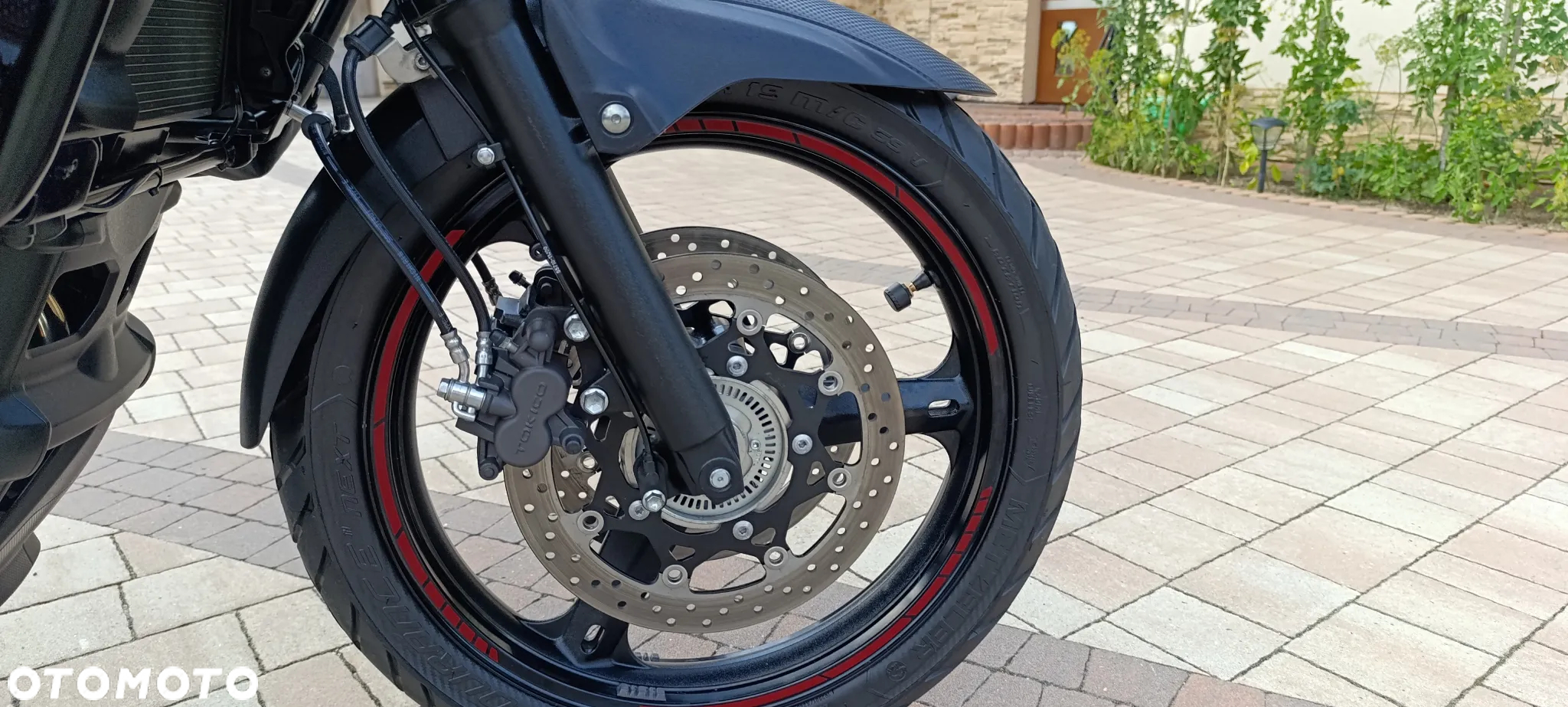 Suzuki V-STROM - 30