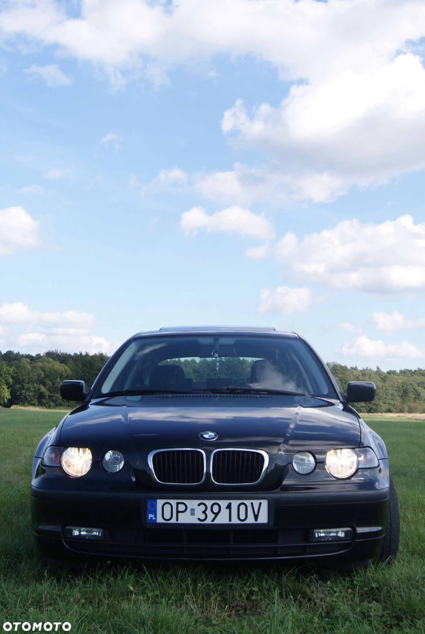 BMW Seria 3 316ti compact - 2