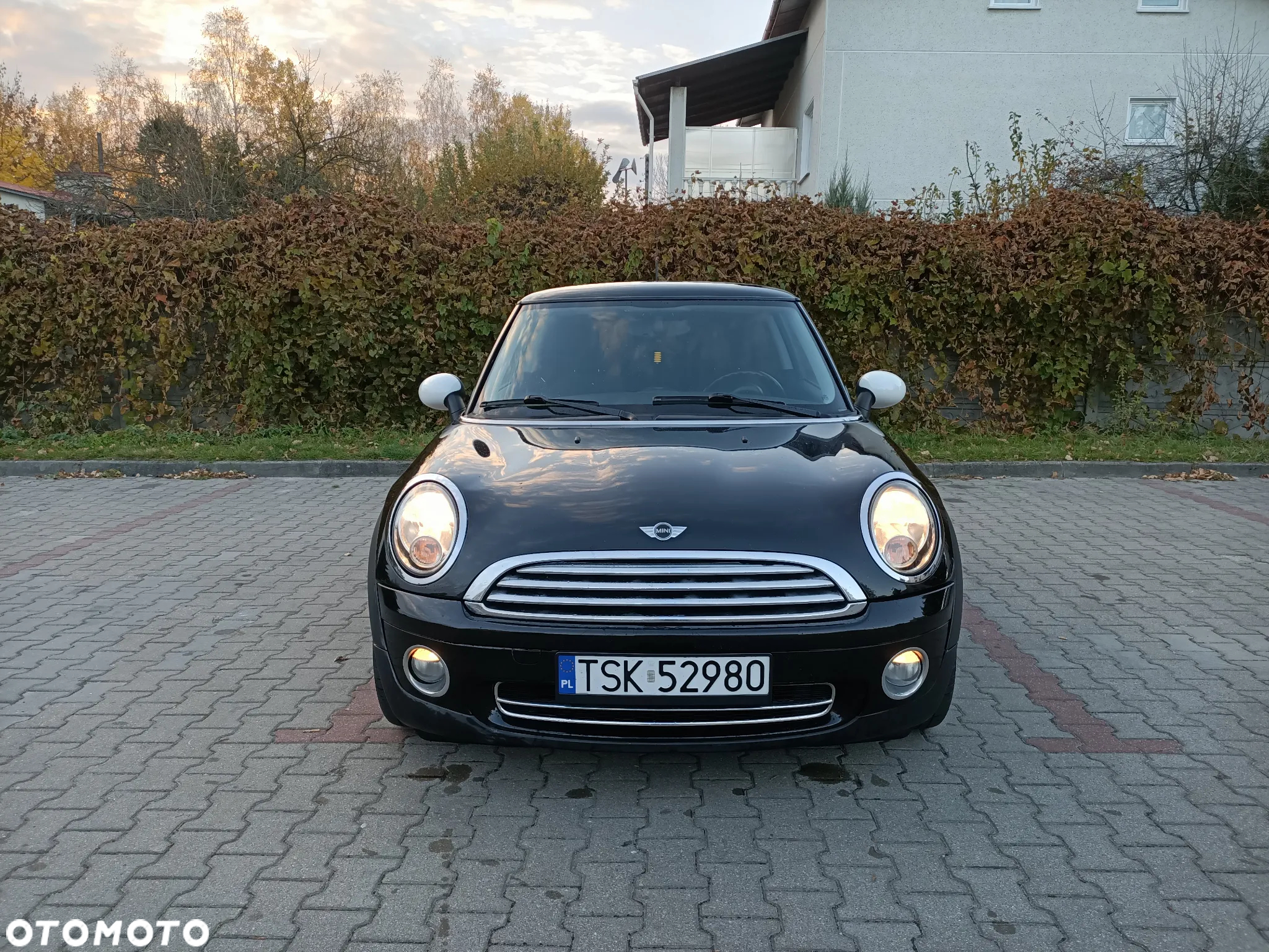 MINI ONE Standard - 21