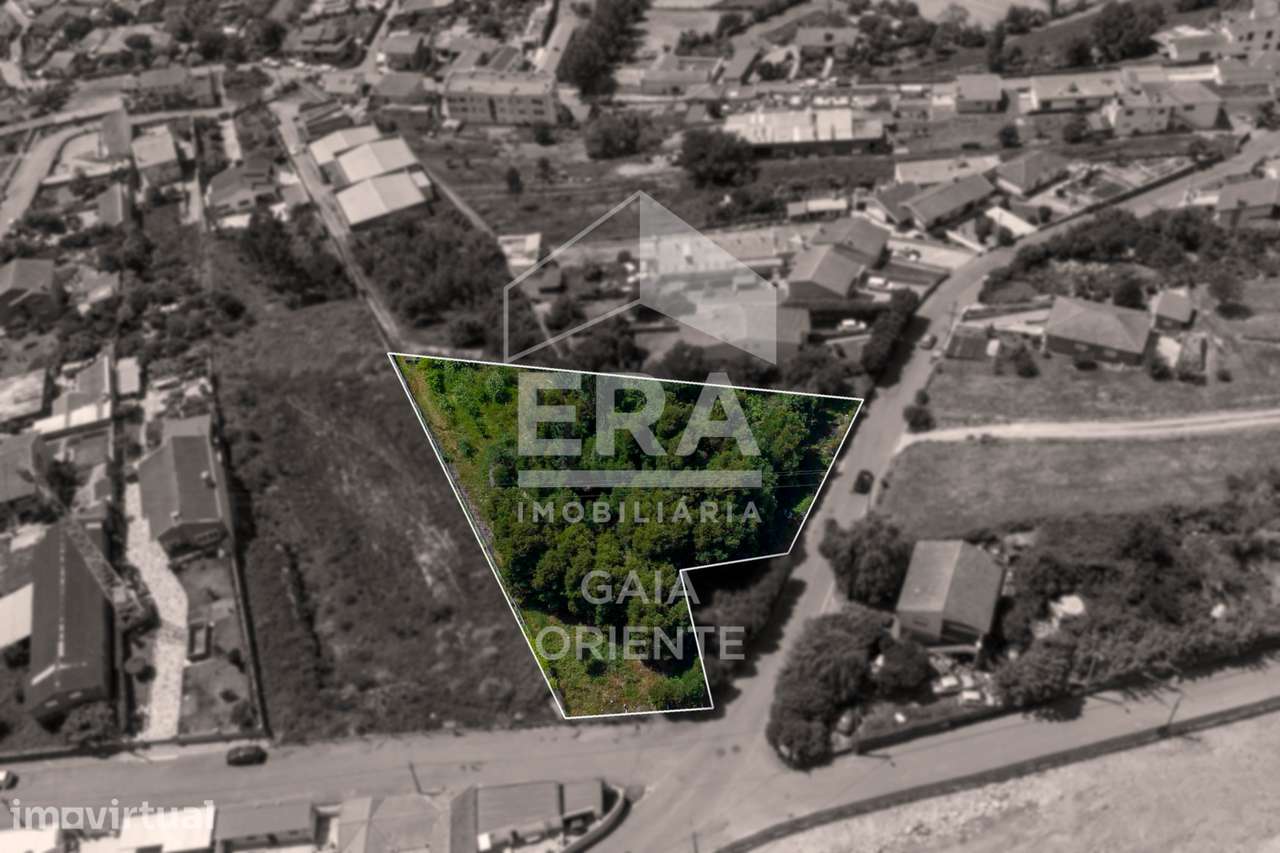Terreno com Potencial Urbano em Olival - Grande imagem: 4/5