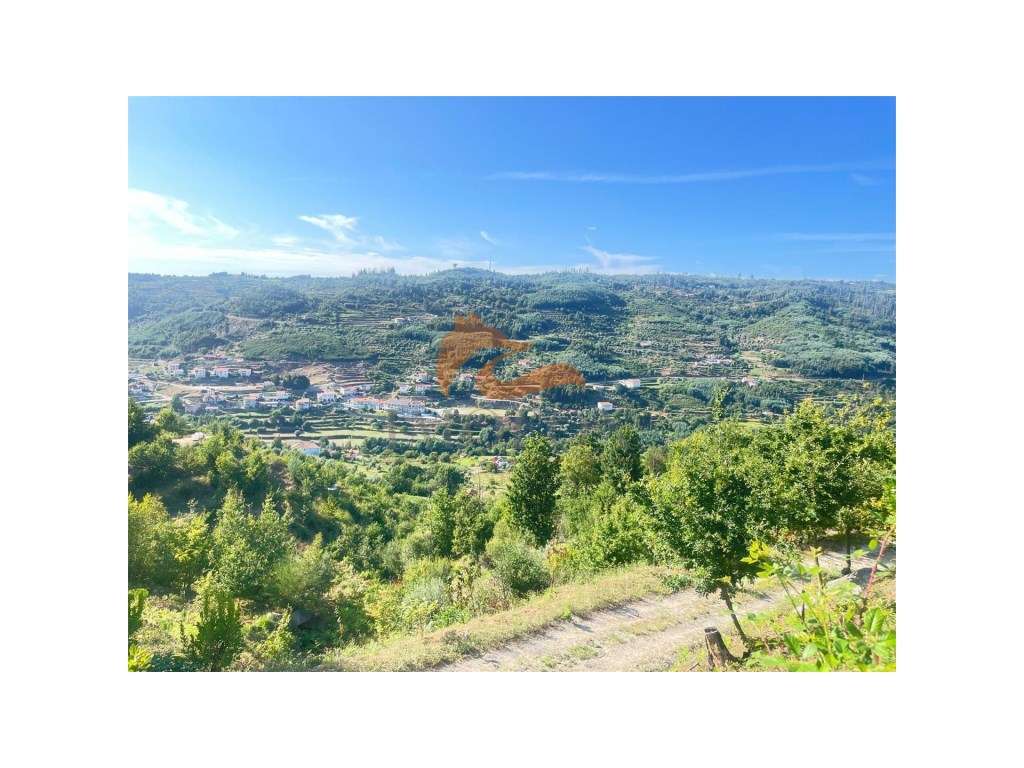 Quinta espetacular em Avô (Oliveira do Hospital) - Grande imagem: 4/15