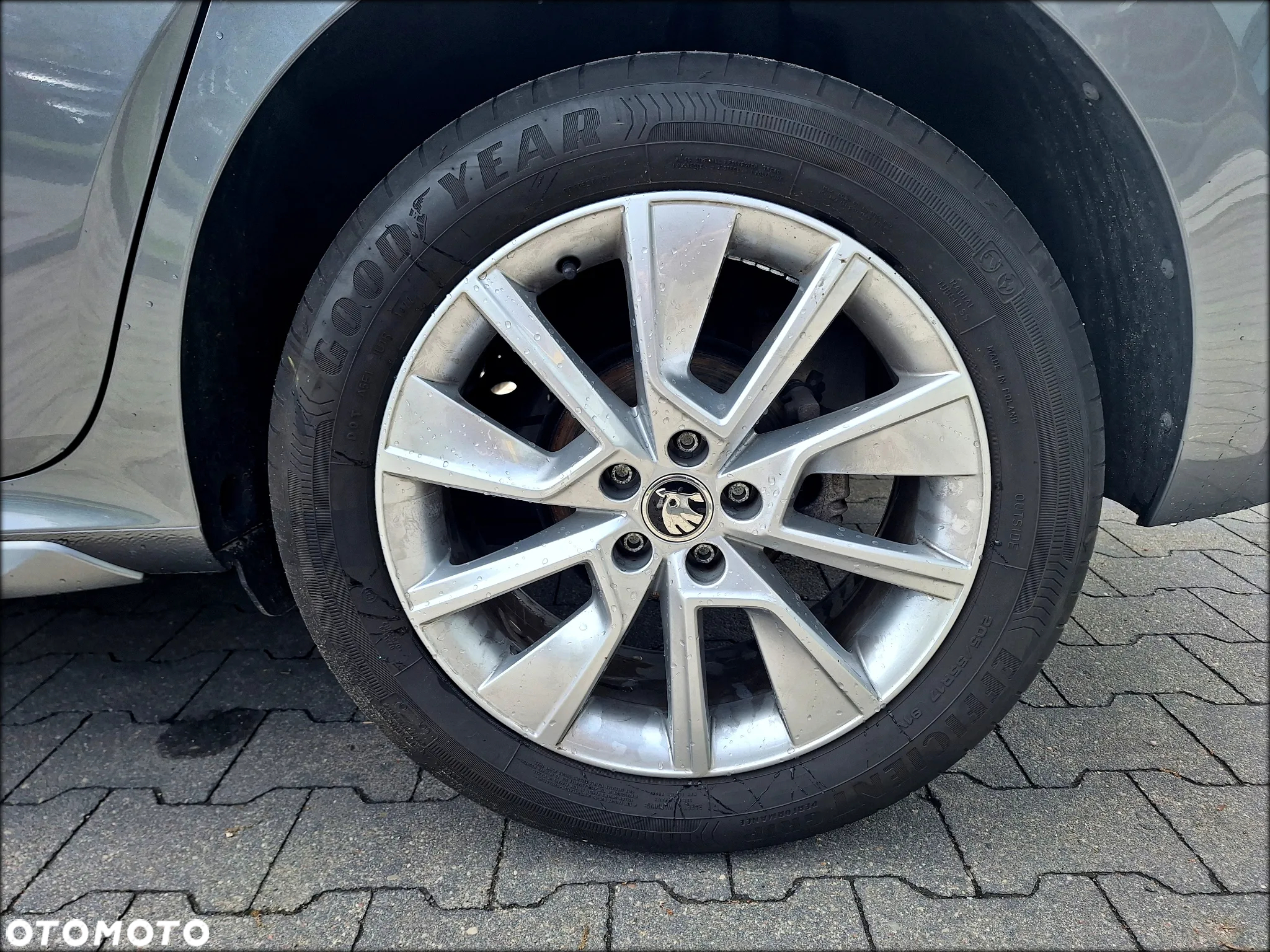 Skoda Kamiq 1.5 TSI Style - 6