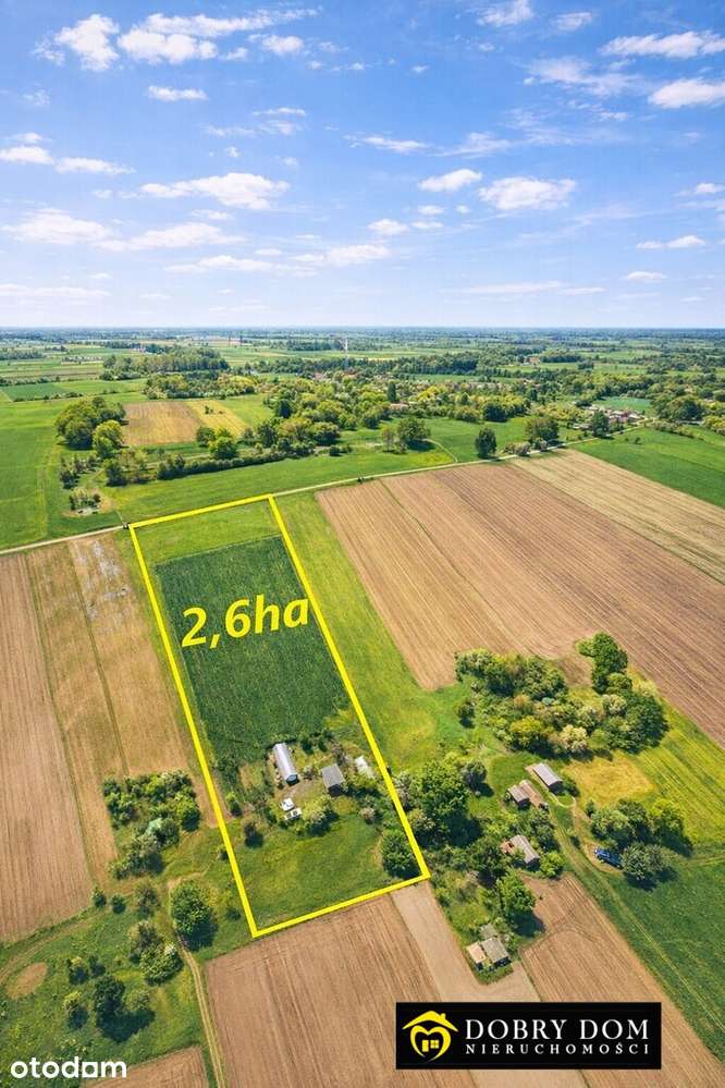 Siedlisko 2,6 ha - Pełny obrazek: 4/9
