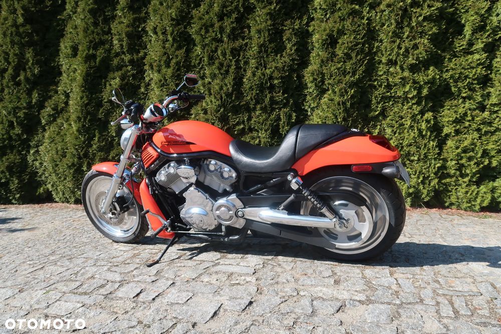 Harley-Davidson V-Rod Night Rod - 1