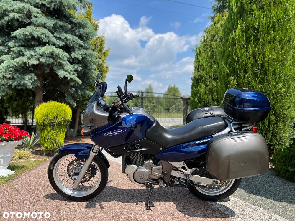 Suzuki XF - 22