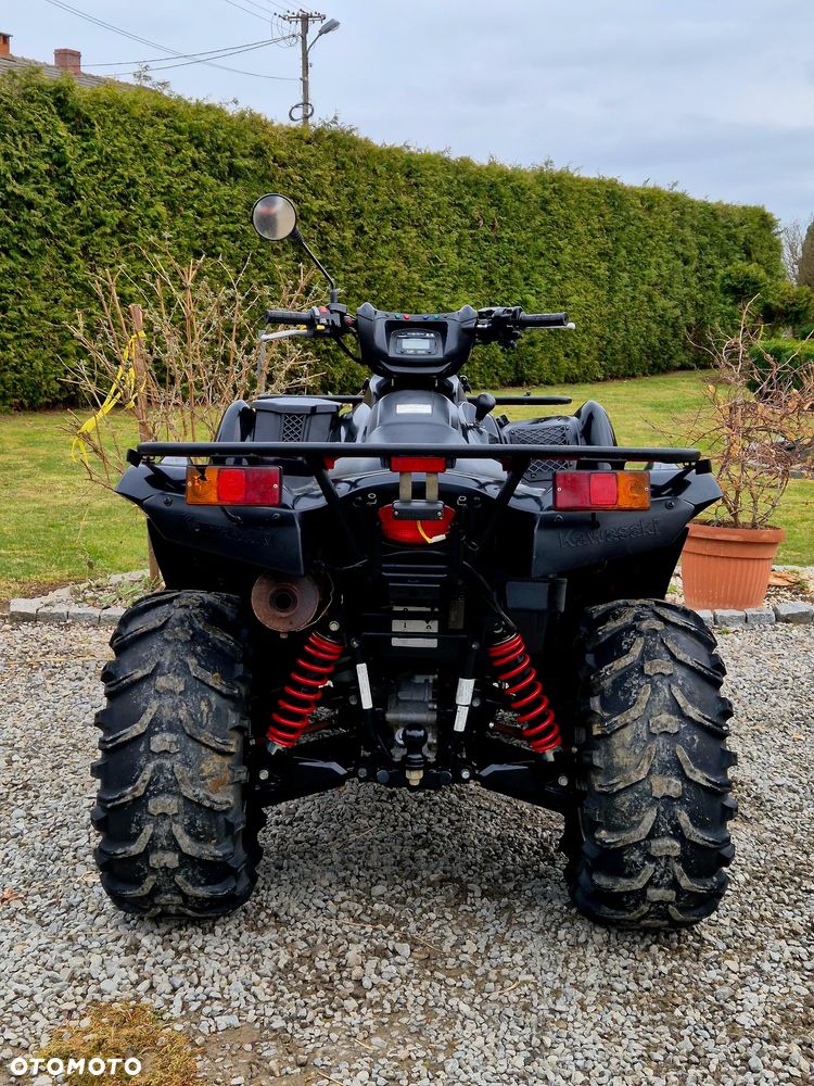 Kawasaki Brute Force - 10