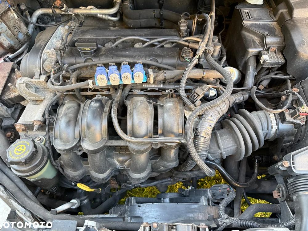 Ford Focus - 15