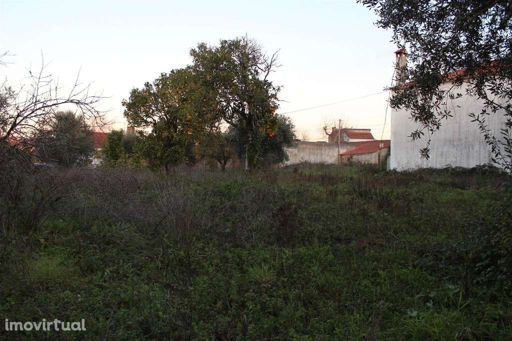 Terreno com ruina, Condeixa-a-Nova, Condeixa - Grande imagem: 2/12