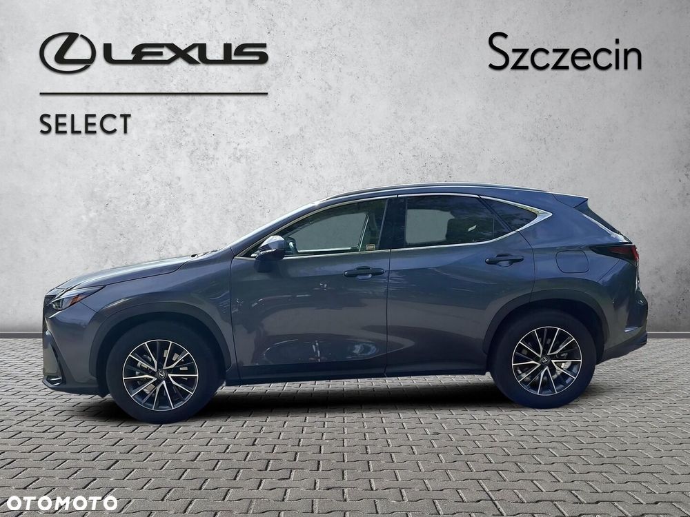Lexus NX 350h Prestige 2WD - 2