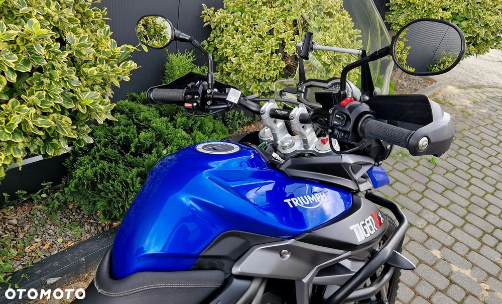 Triumph Tiger - 29