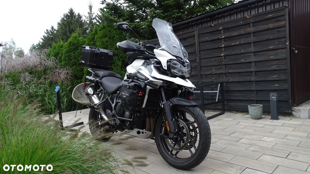 Triumph Tiger - 1