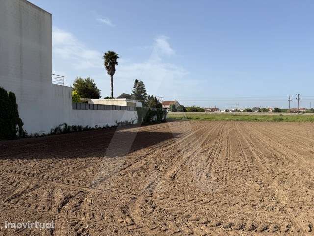 Conjunto de dois lotes de Terreno em São Bernardo - Grande imagem: 4/9