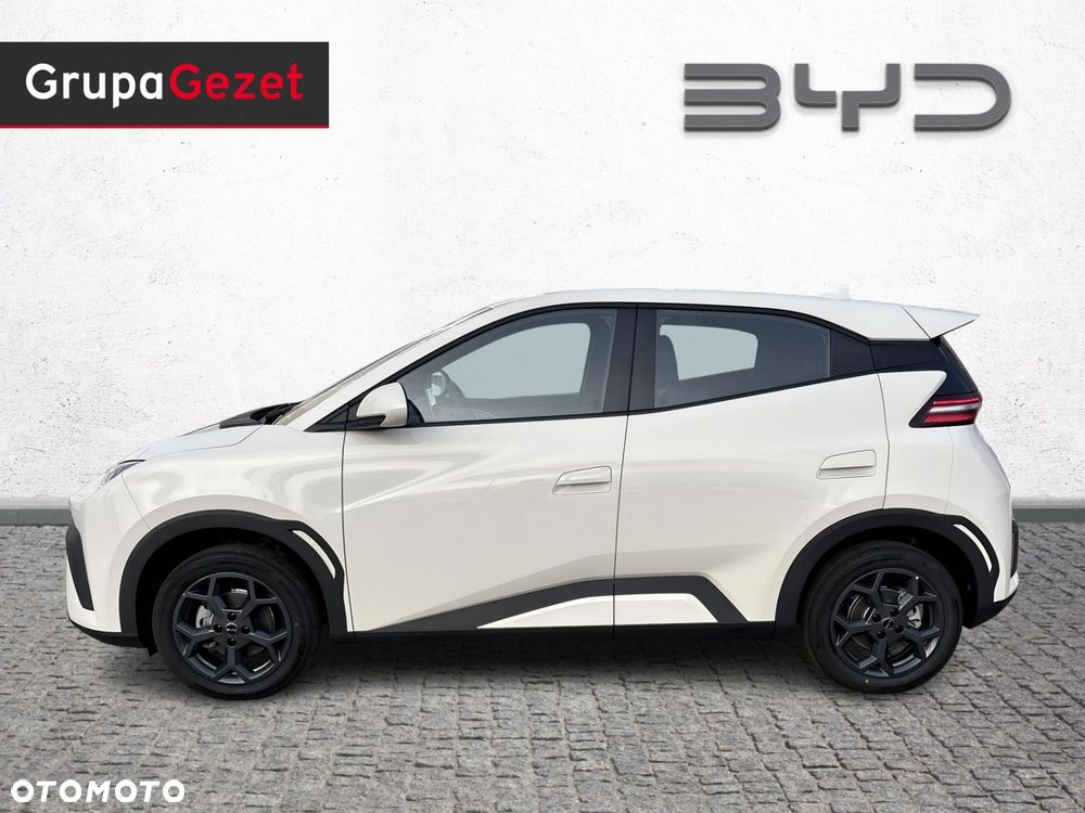 BYD Dolphin Surf - 2