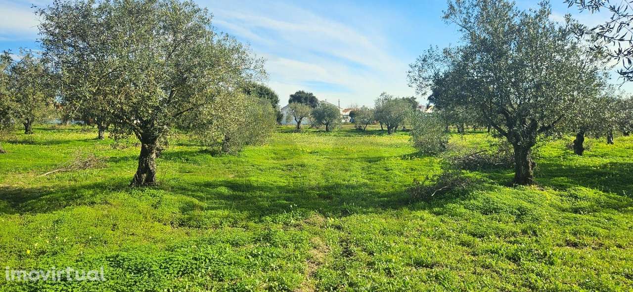 Desenvolvimento Premium: 1,2 Hectares urbanos no Centro de Melides - Grande imagem: 3/24