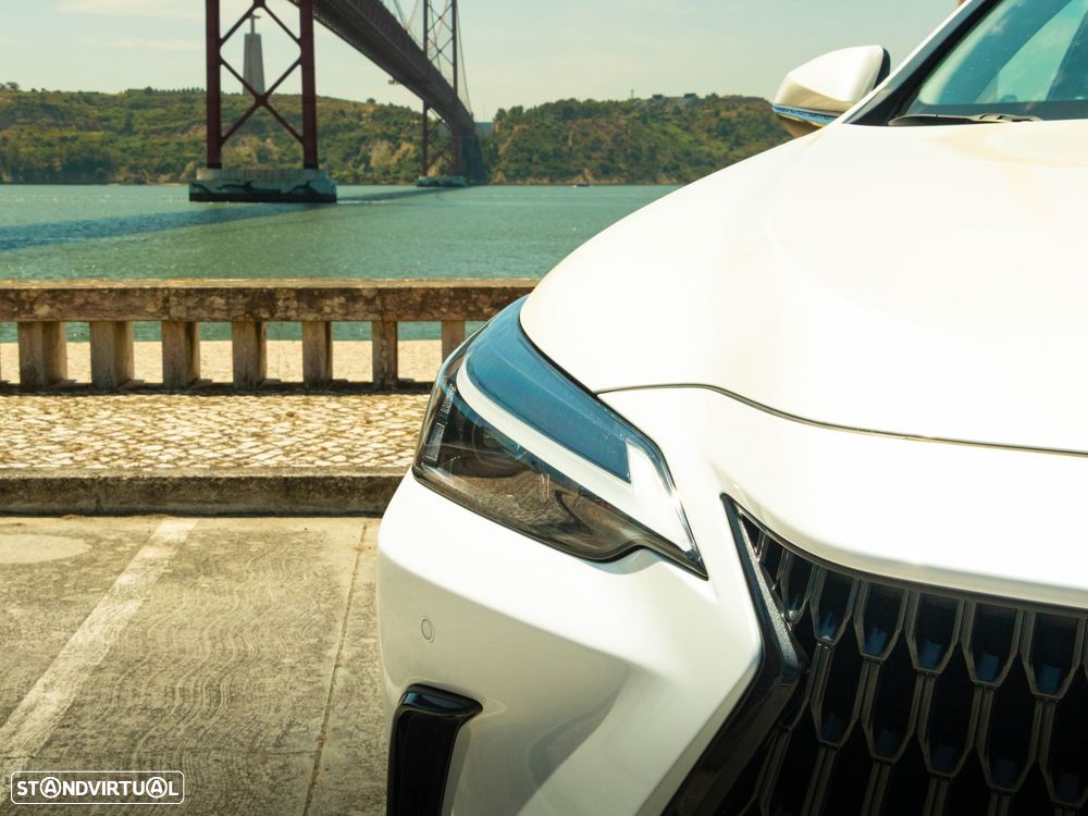 Lexus NX 450h+ Executive - 21