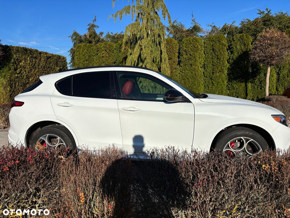 Alfa Romeo Stelvio - 10