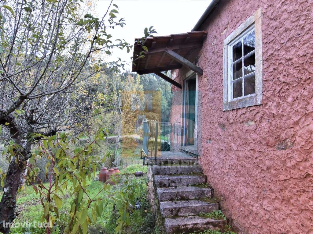 Quintinha 4.400m2 - zona com internet fibra no Carregal - Alvaiázere - Grande imagem: 2/60