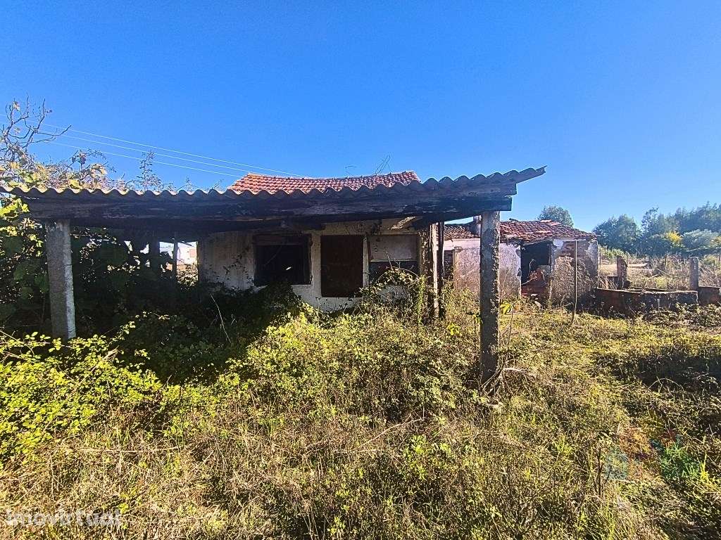 Moradia com potencial de renovação no Entroncamento - Grande imagem: 3/15