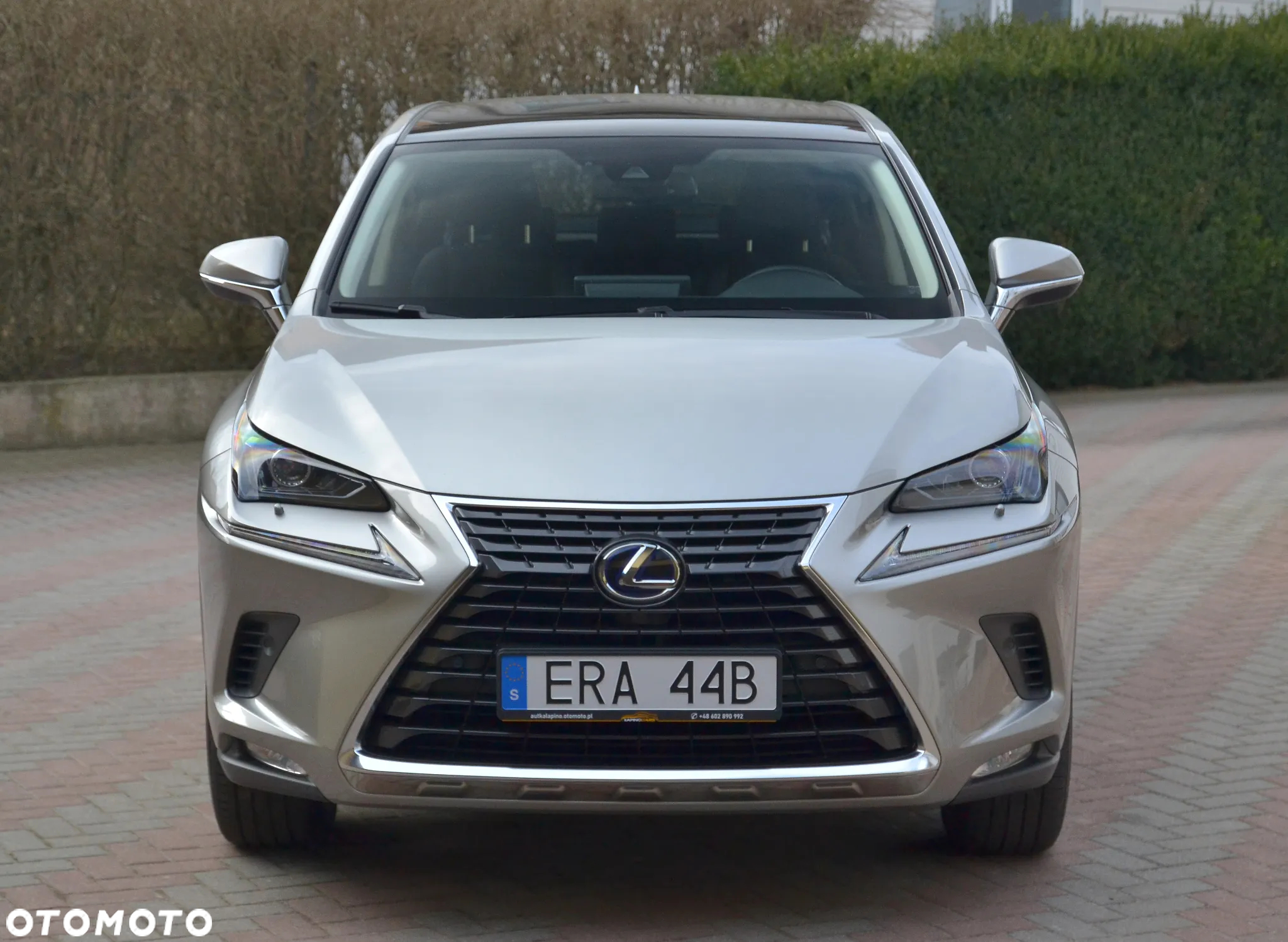 Lexus NX 350h Prestige AWD - 5