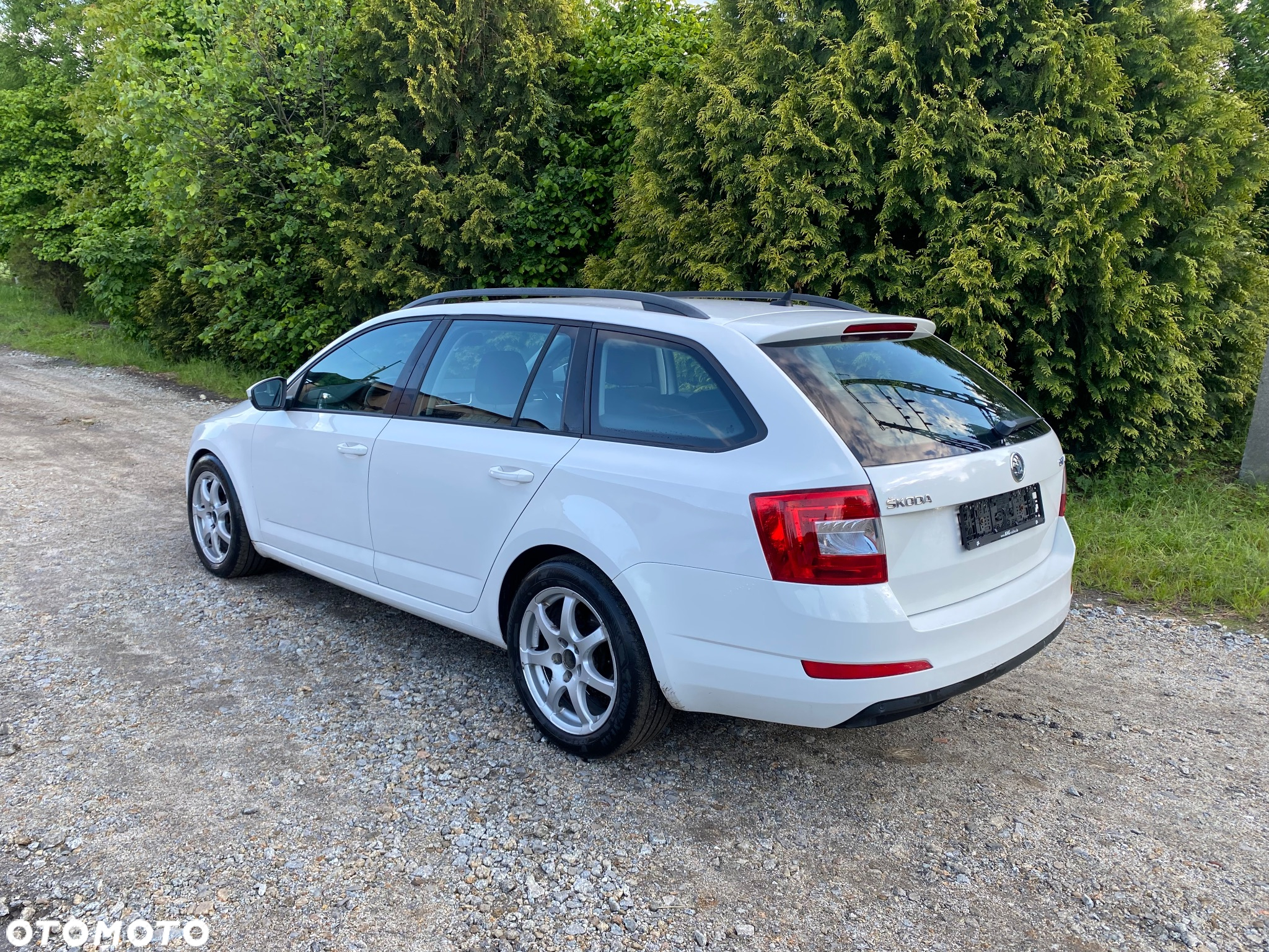 Skoda Octavia 1.6 TDI Green tec Ambition - 3