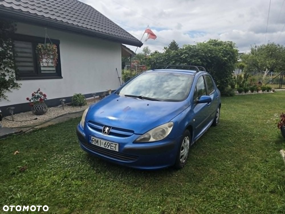 Peugeot 307 1.6 XS Class - 3
