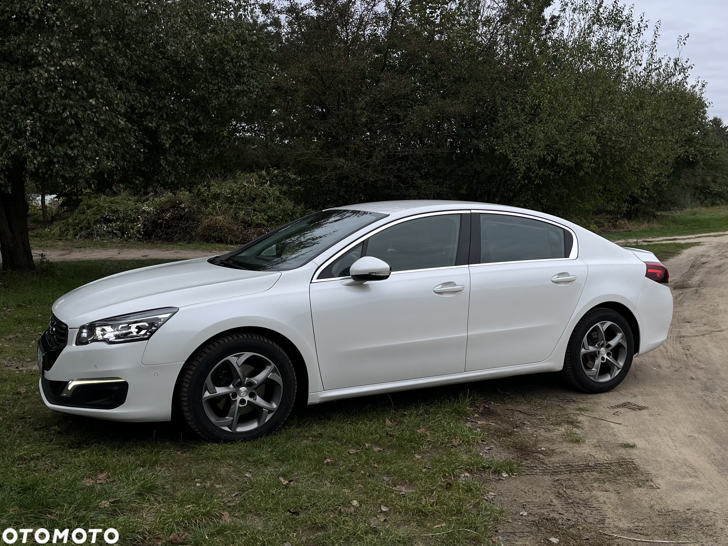 Peugeot 508 HDi 160 Automatik Allure - 7