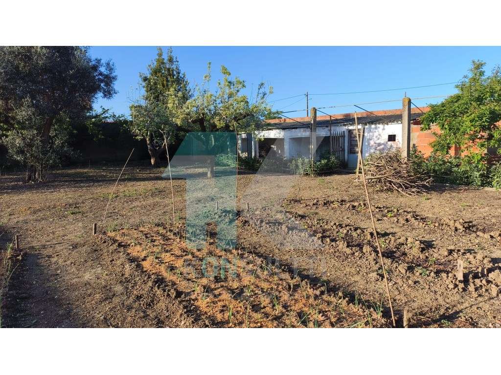 Terreno para construção de condomínio de 6 moradias - Grande imagem: 5/8