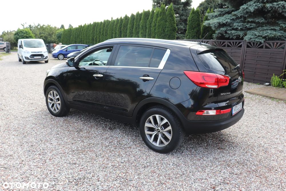 Kia Sportage 1.6 GDI Business Line L 2WD - 4