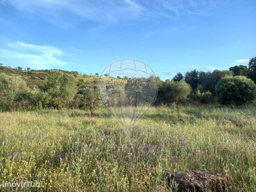 Terreno  para venda - Grande imagem: 5/7