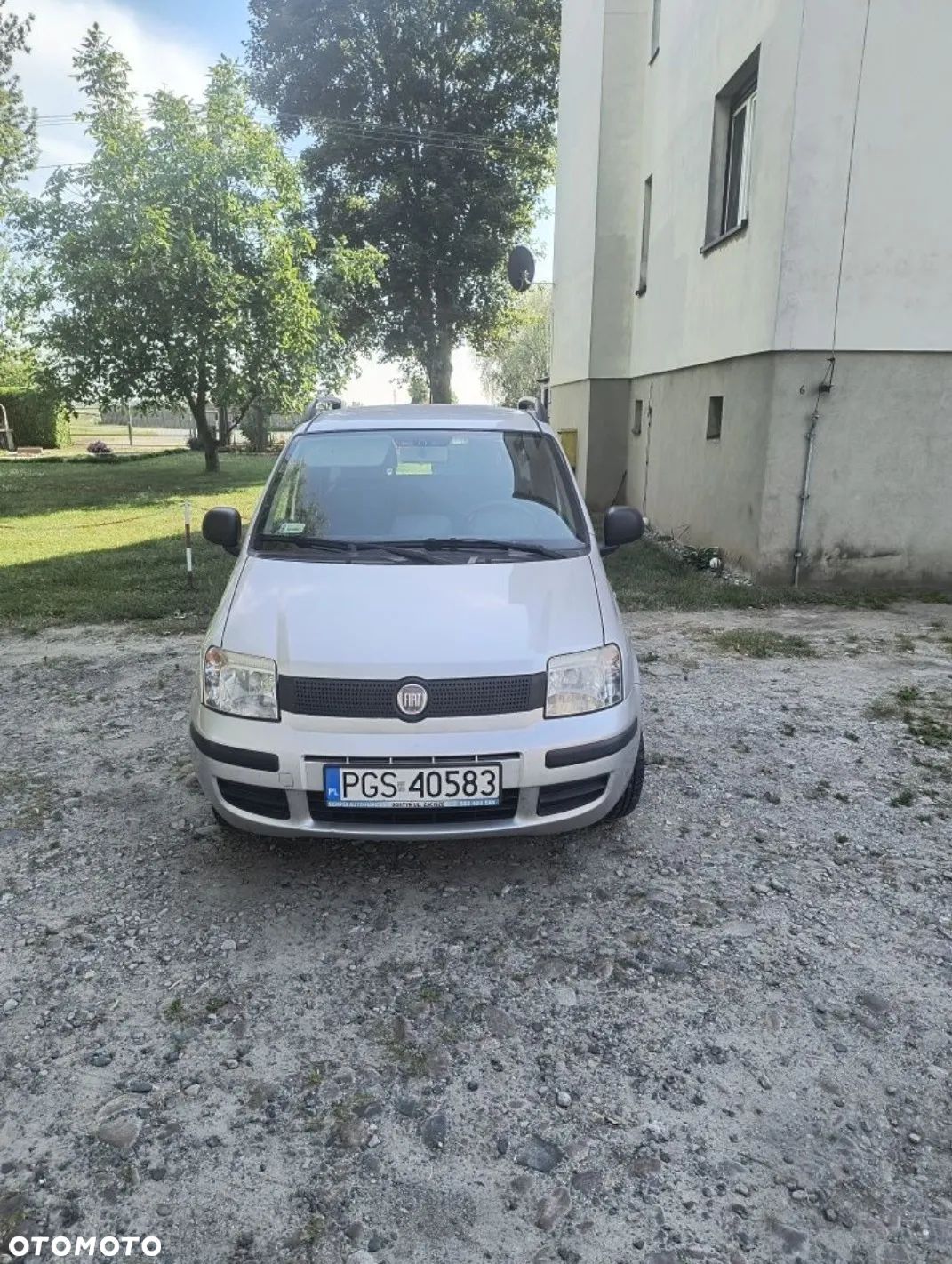 Fiat Panda - 1