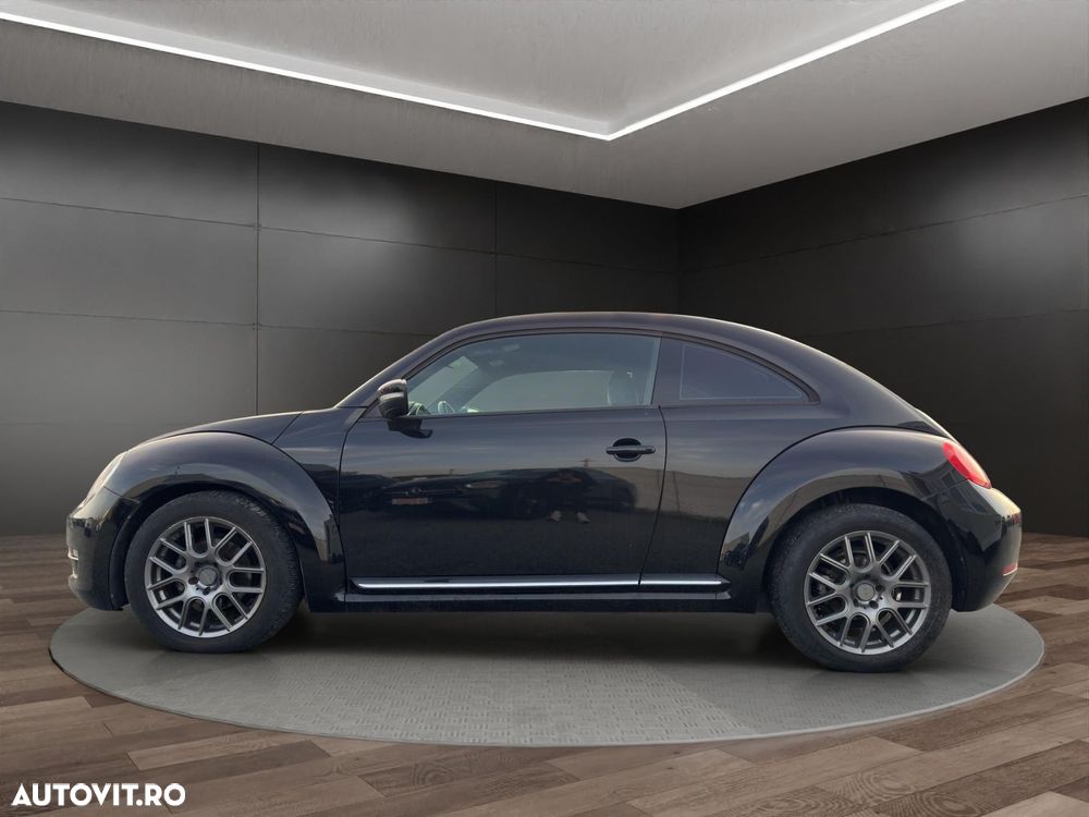 Volkswagen Beetle - 14