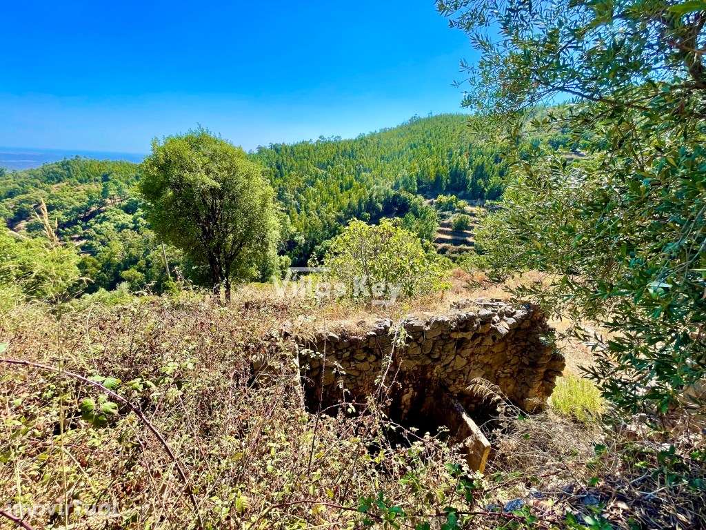 Terreno com vista mar - Grande imagem: 2/18