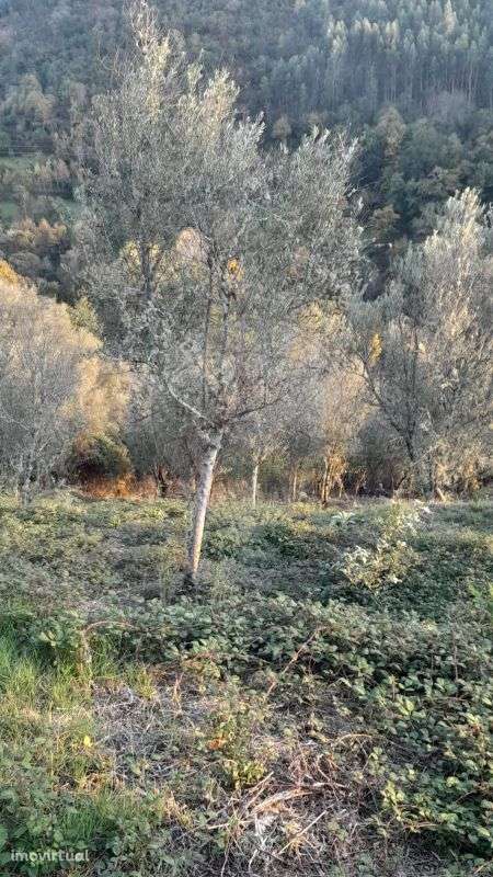 Terreno  para venda - Grande imagem: 2/18