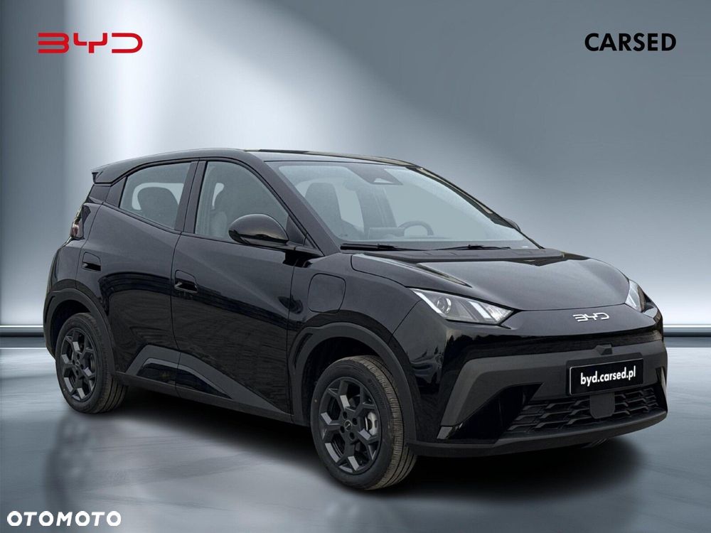 BYD Dolphin Surf - 7