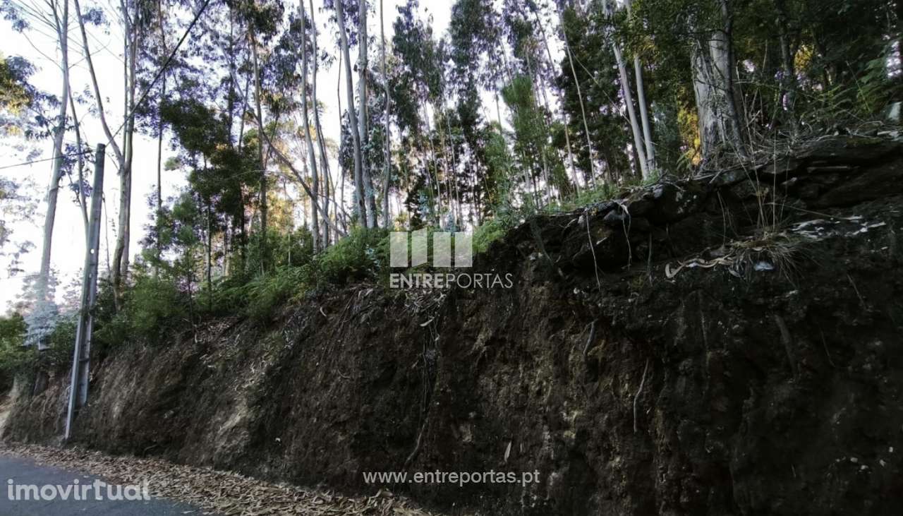 Venda de Terreno para construção, Meixedo, Viana do Castelo - Grande imagem: 2/18