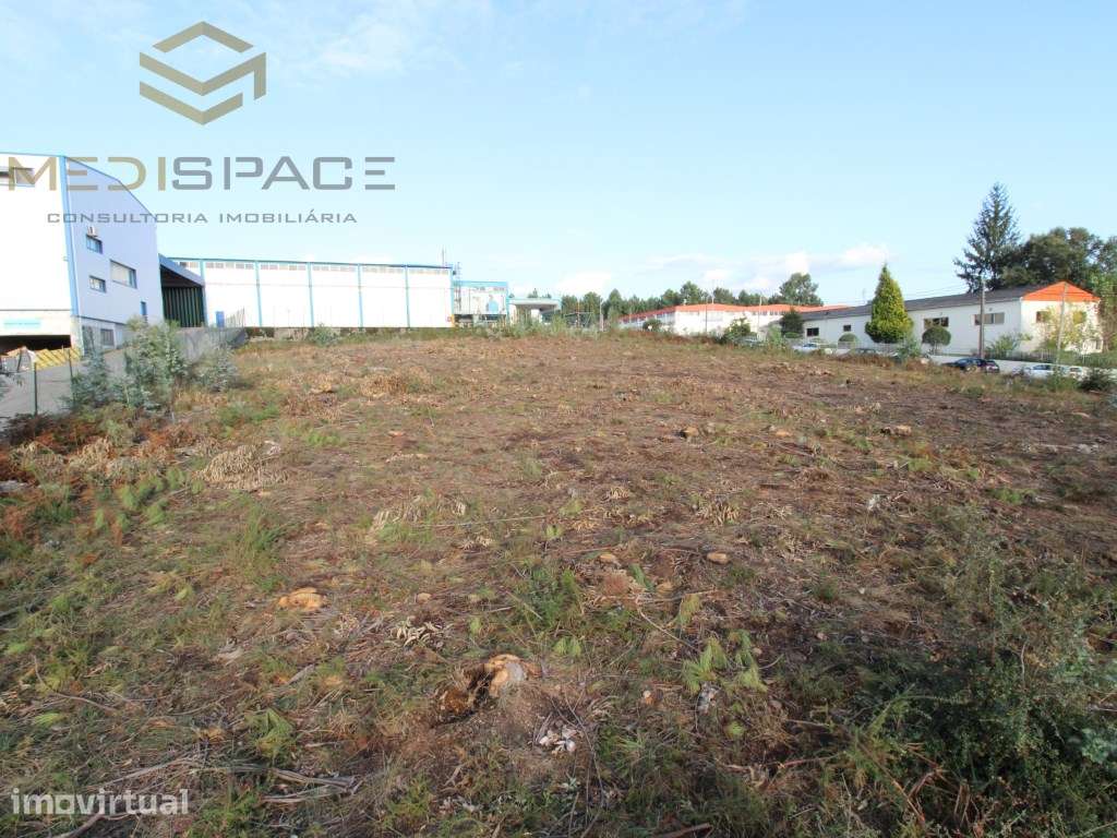 Terreno Industrial em Gaia , Avintes ( Fábrica Barbosa e Almeida) - Grande imagem: 4/23