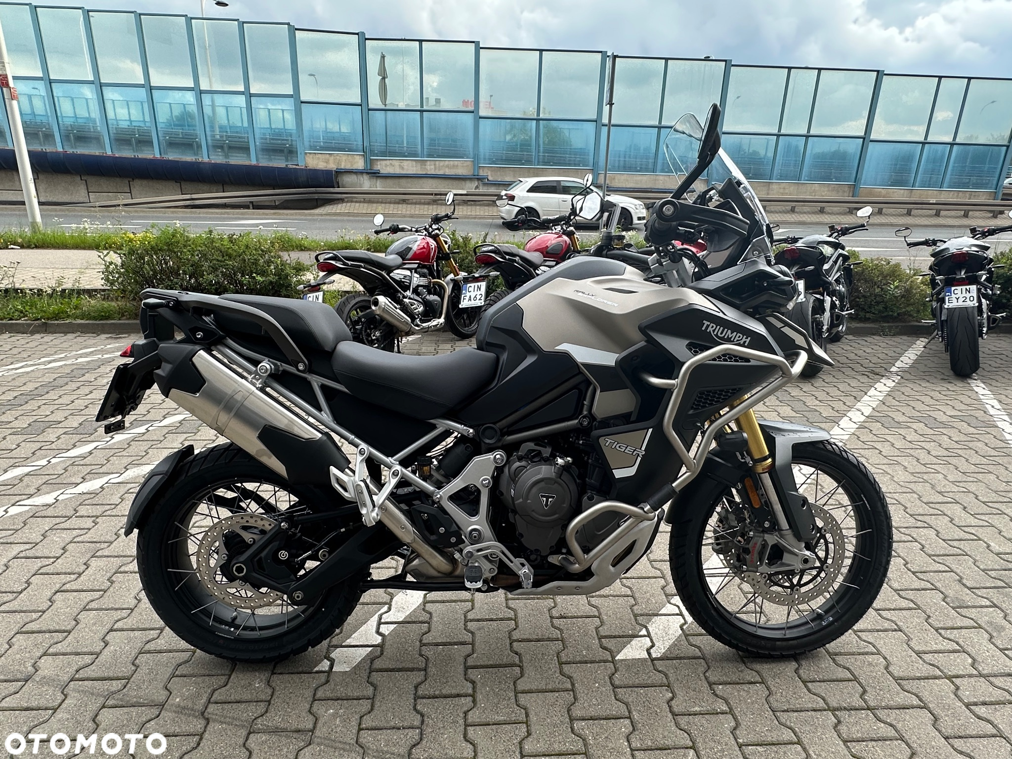 Triumph Tiger - 6