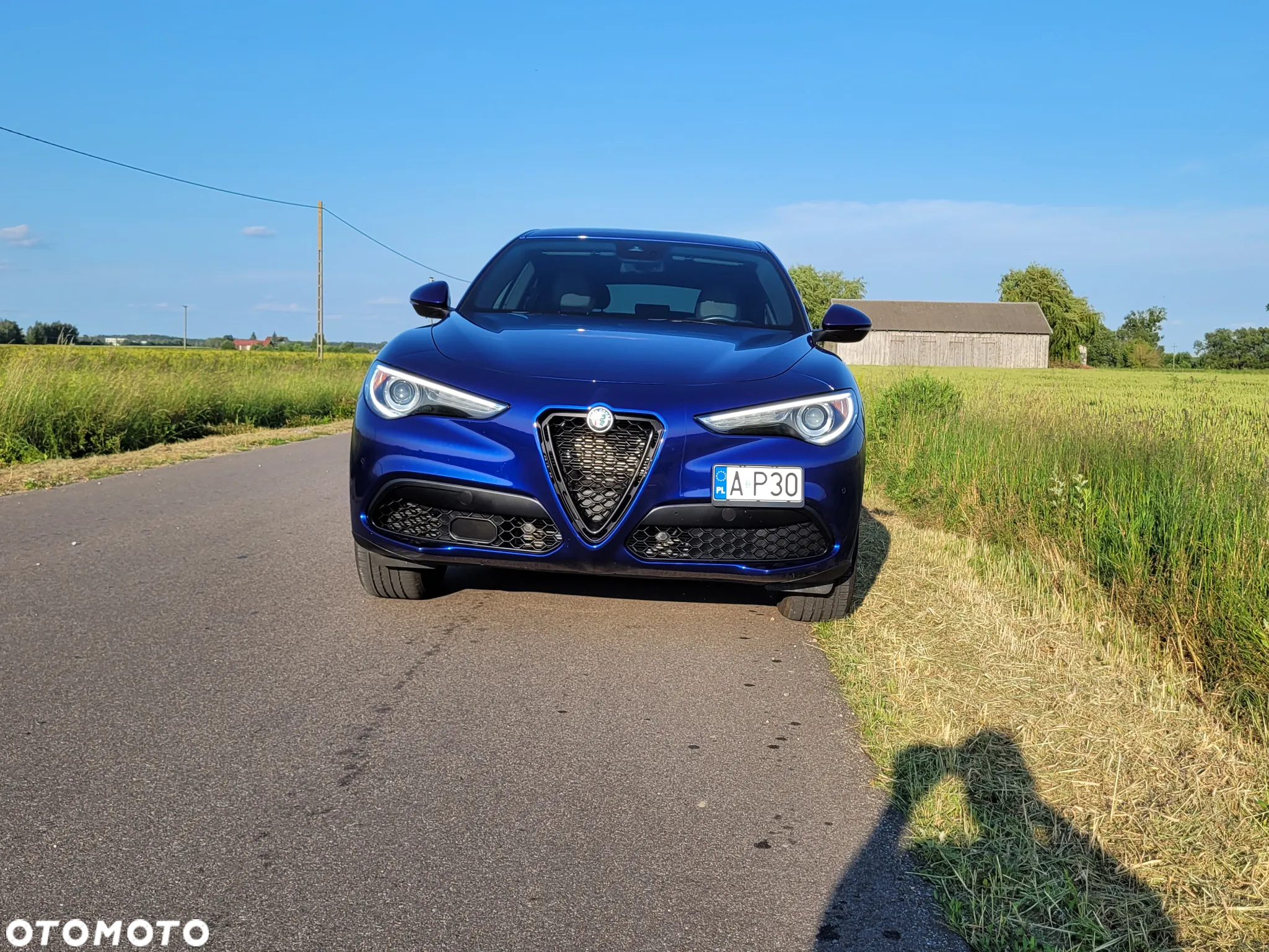 Alfa Romeo Stelvio 2.0 Turbo Sprint Q4 - 4