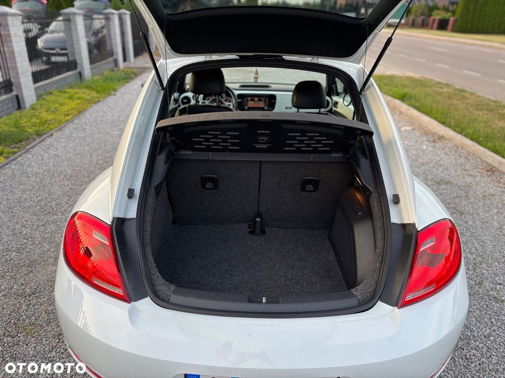 Volkswagen Beetle - 22