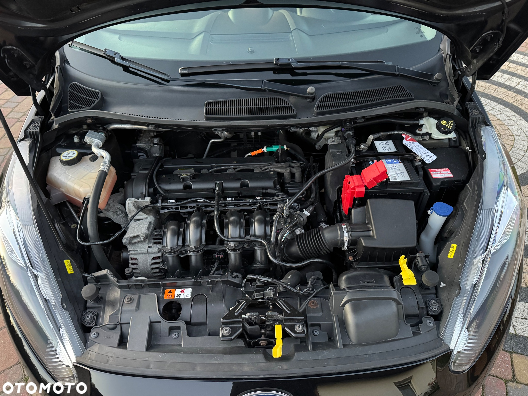 Ford Fiesta - 30