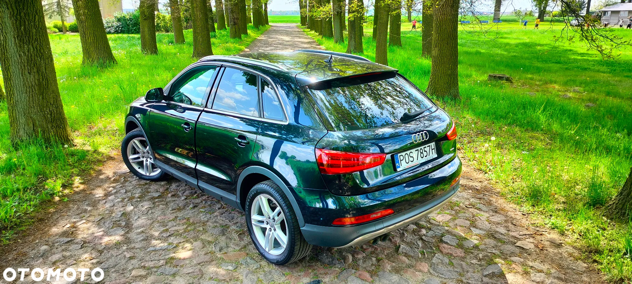 Audi Q3 2.0 TDI Quattro Edycja Specjalna S tronic - 6