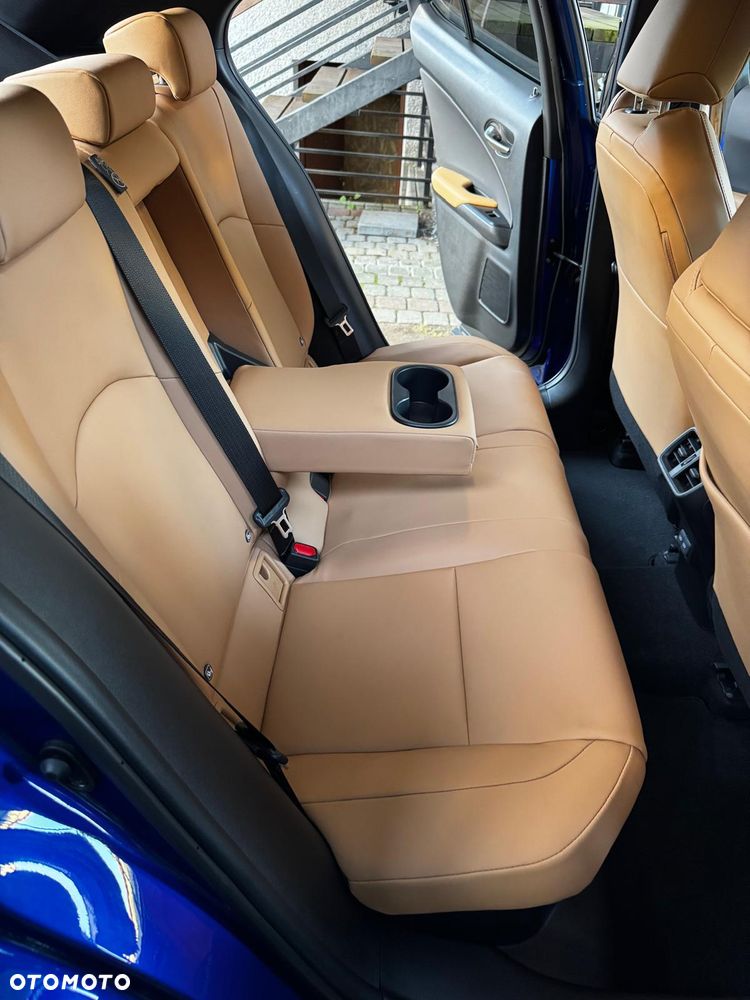 Lexus UX 300h F Sport Design - 11
