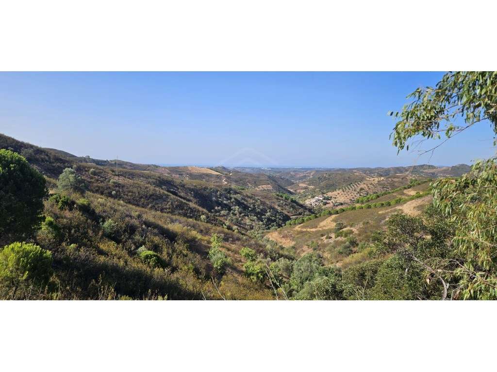Terreno com Ruína na Serra de Tavira, Algarve - Grande imagem: 4/14