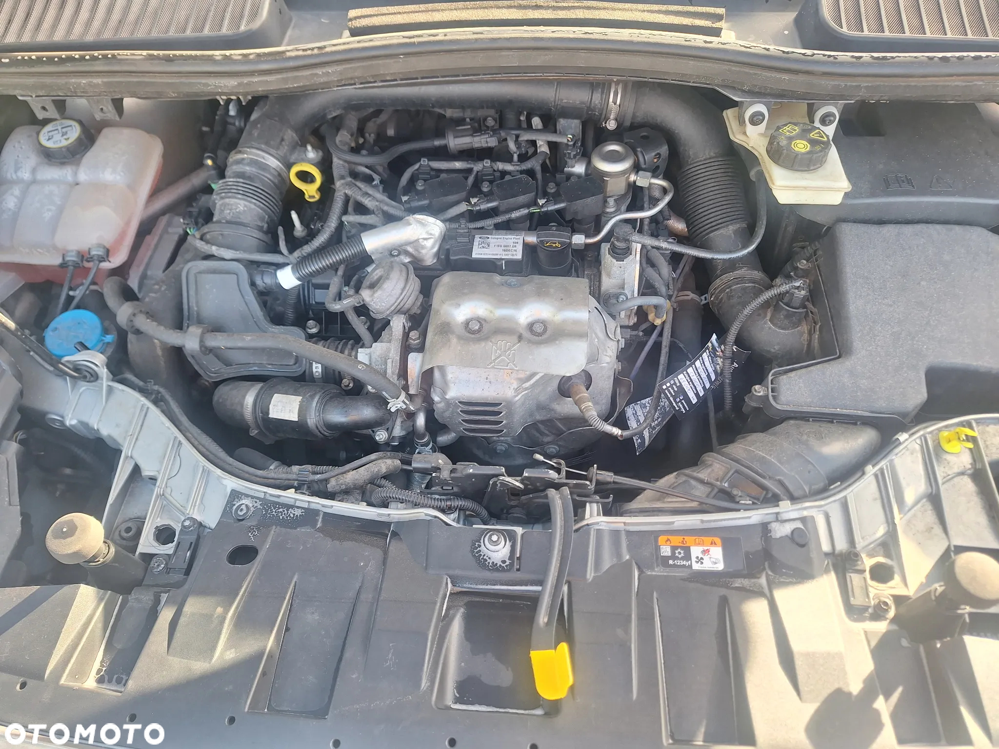 Ford C-MAX 1.0 EcoBoost Trend ASS - 19