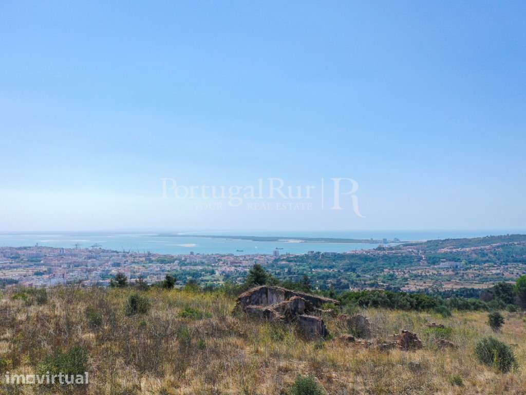 Propriedade na Arrábida com 40 hectares, com projeto aprovado e vis... - Grande imagem: 2/16