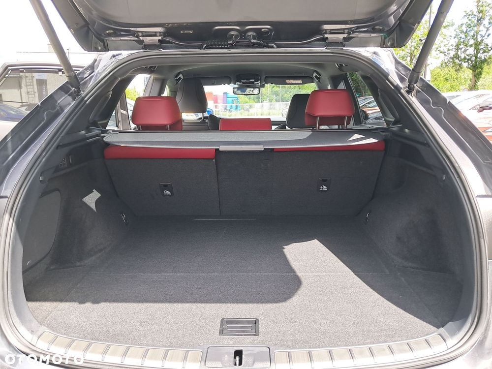 Lexus RX - 13