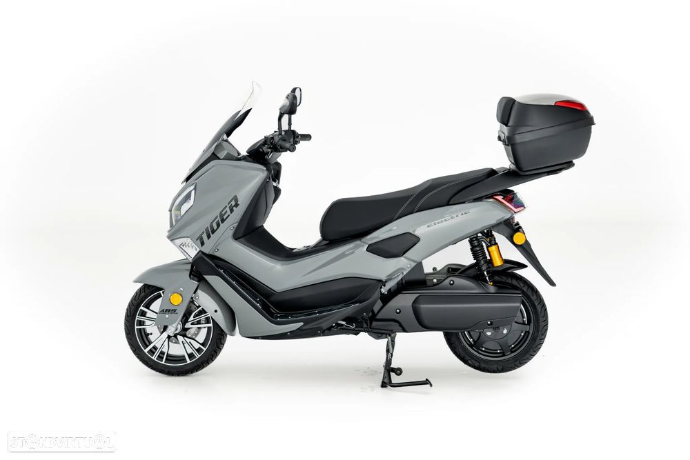 Efun Tiger - 7